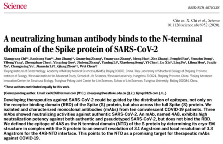 新型冠狀病毒抗體 新型冠狀病毒抗體
