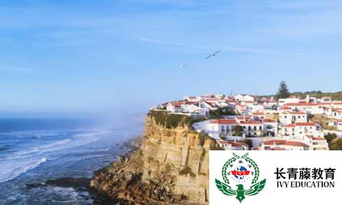 學習意大利語-詳解直接賓語代詞