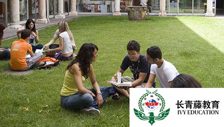 高級意大利語-冠詞的用法