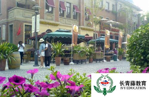 意大利語學習--那不勒斯的計劃 PROGETTI PER NAPOLI 