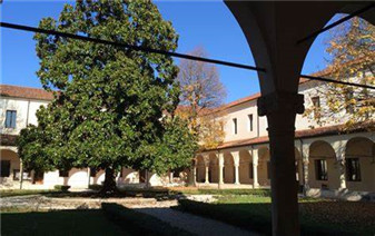 意大利維琴察“阿里科·佩德羅”音樂學院